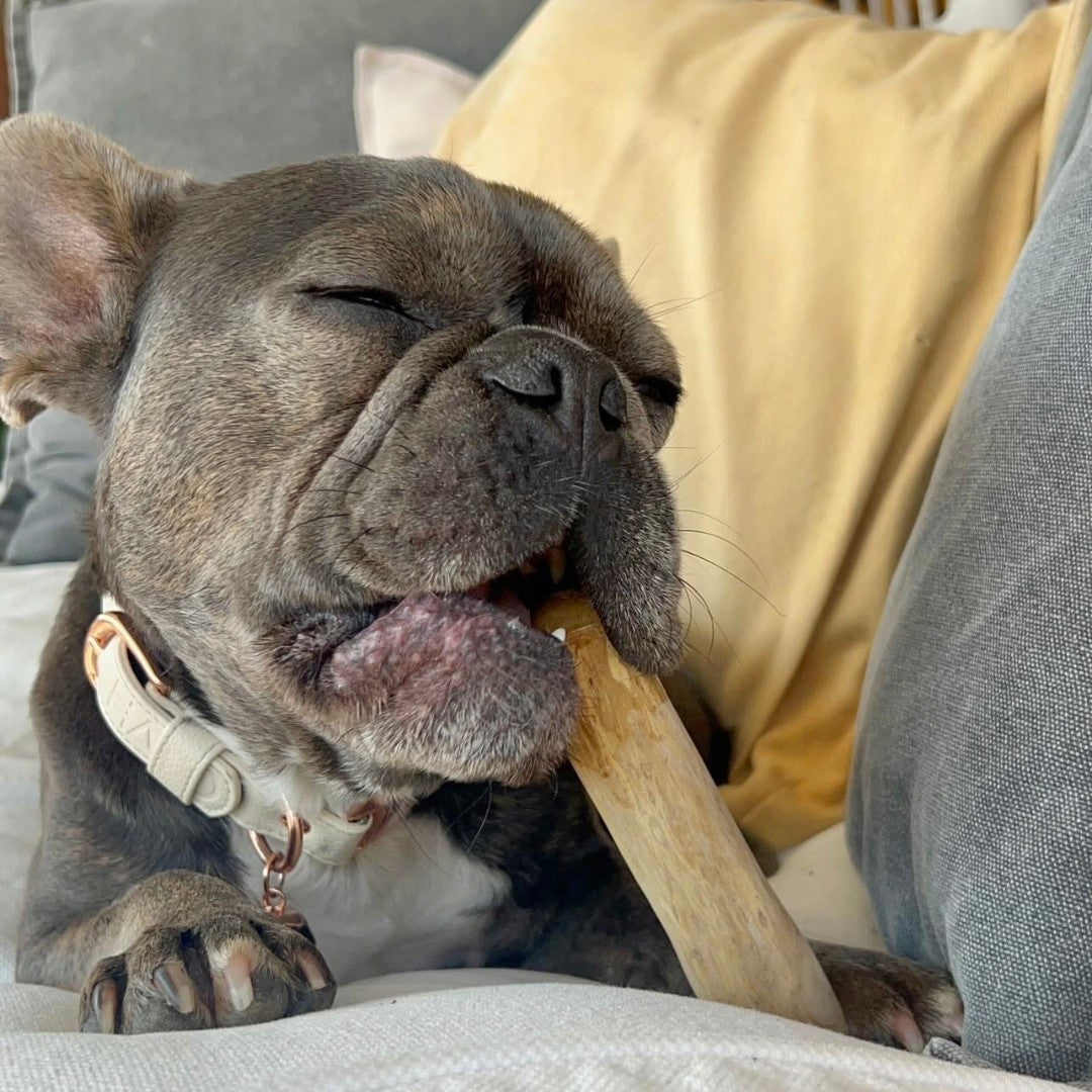 The Pawse Relief Stick