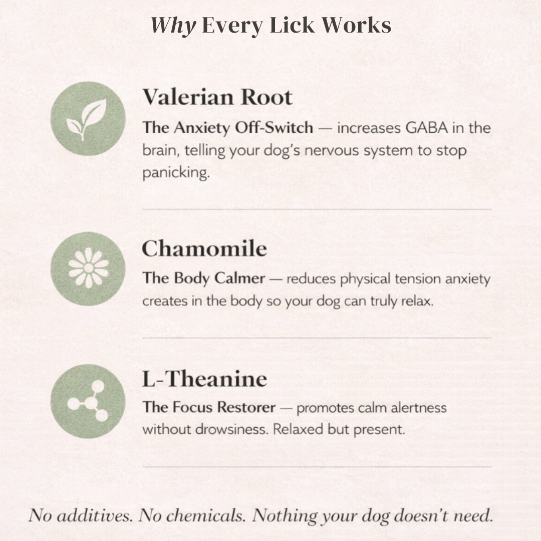 The Pawse Relief Stick