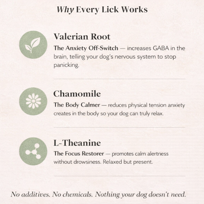 The Pawse Relief Stick